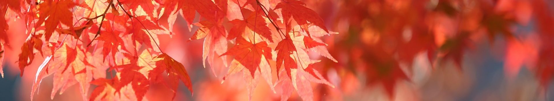 Hormonelle Dysbalance in den Wechseljahren