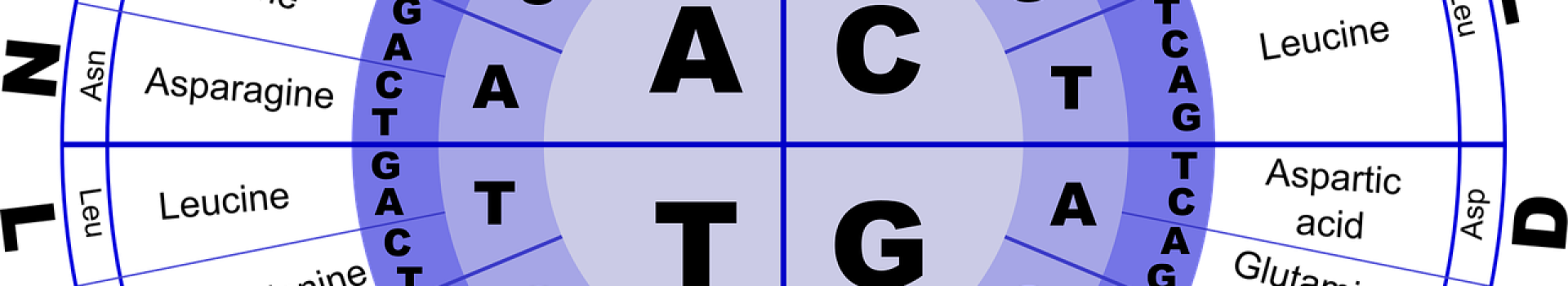 Laborcheck Aminosäuren