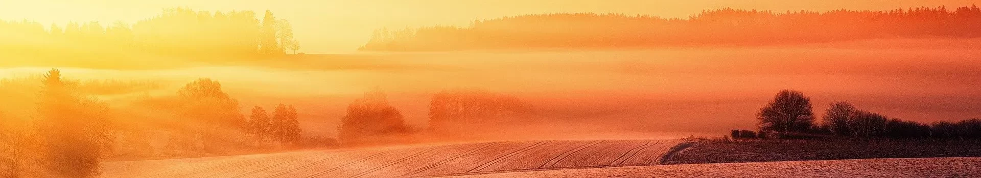 Auswege aus Nahrungsmittelunverträglichkeiten